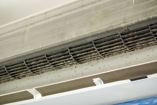 Best Residential Air Duct Cleaning  in Gainesville, FL